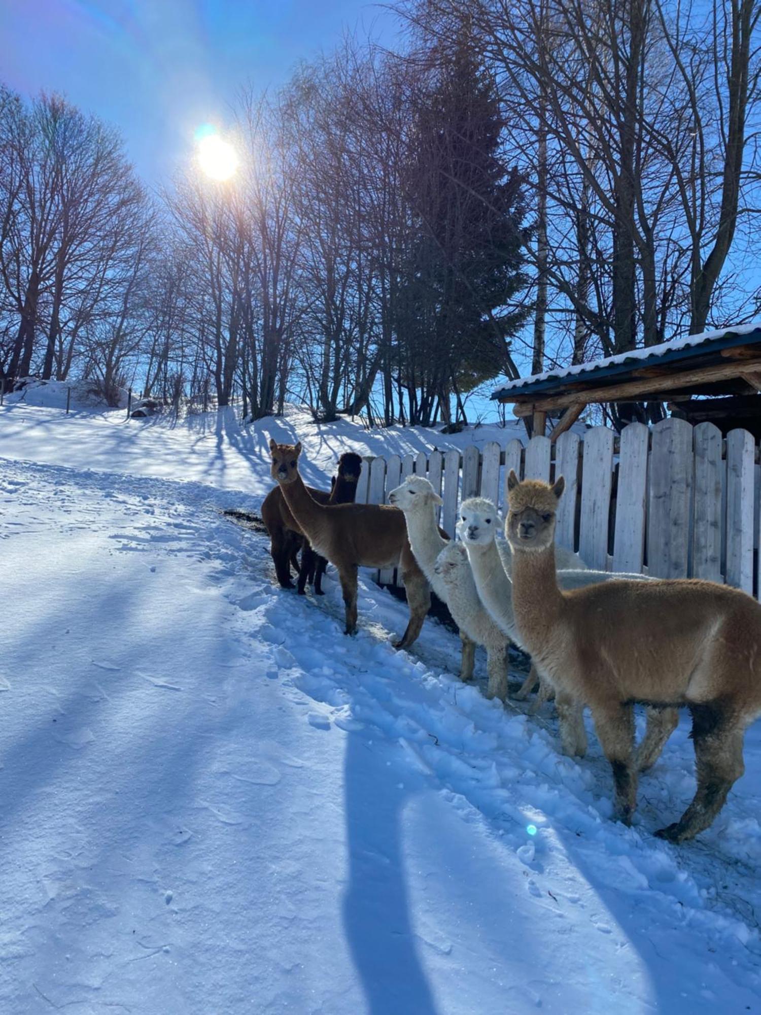 Biohof Kroisleitner Sankt Jakob im Walde Dış mekan fotoğraf