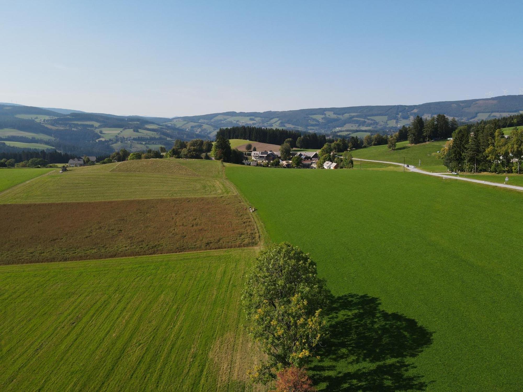 Biohof Kroisleitner Sankt Jakob im Walde Dış mekan fotoğraf
