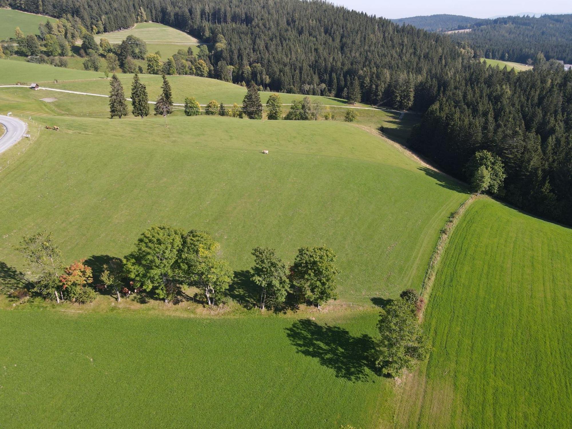 Biohof Kroisleitner Sankt Jakob im Walde Dış mekan fotoğraf
