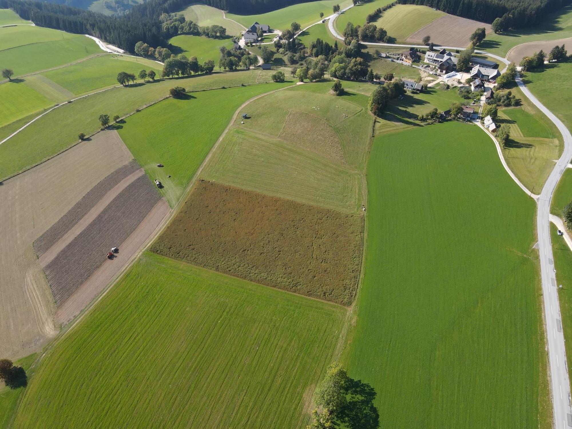 Biohof Kroisleitner Sankt Jakob im Walde Dış mekan fotoğraf