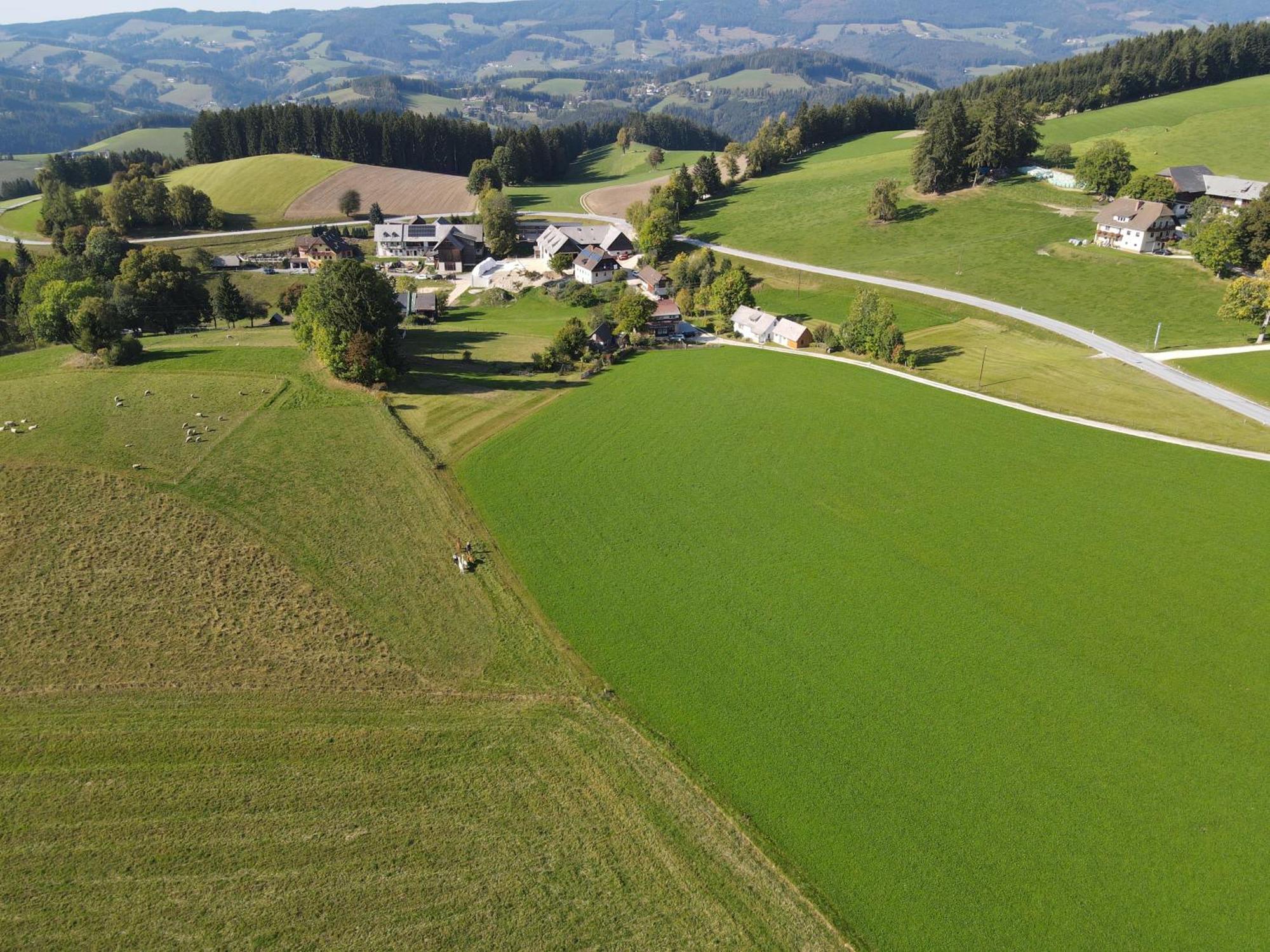 Biohof Kroisleitner Sankt Jakob im Walde Dış mekan fotoğraf