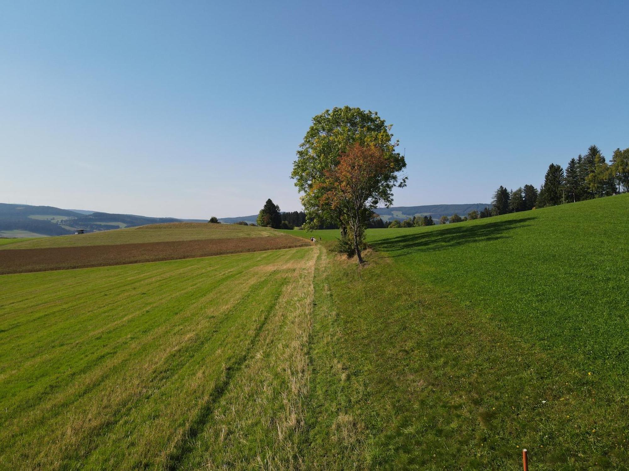 Biohof Kroisleitner Sankt Jakob im Walde Dış mekan fotoğraf