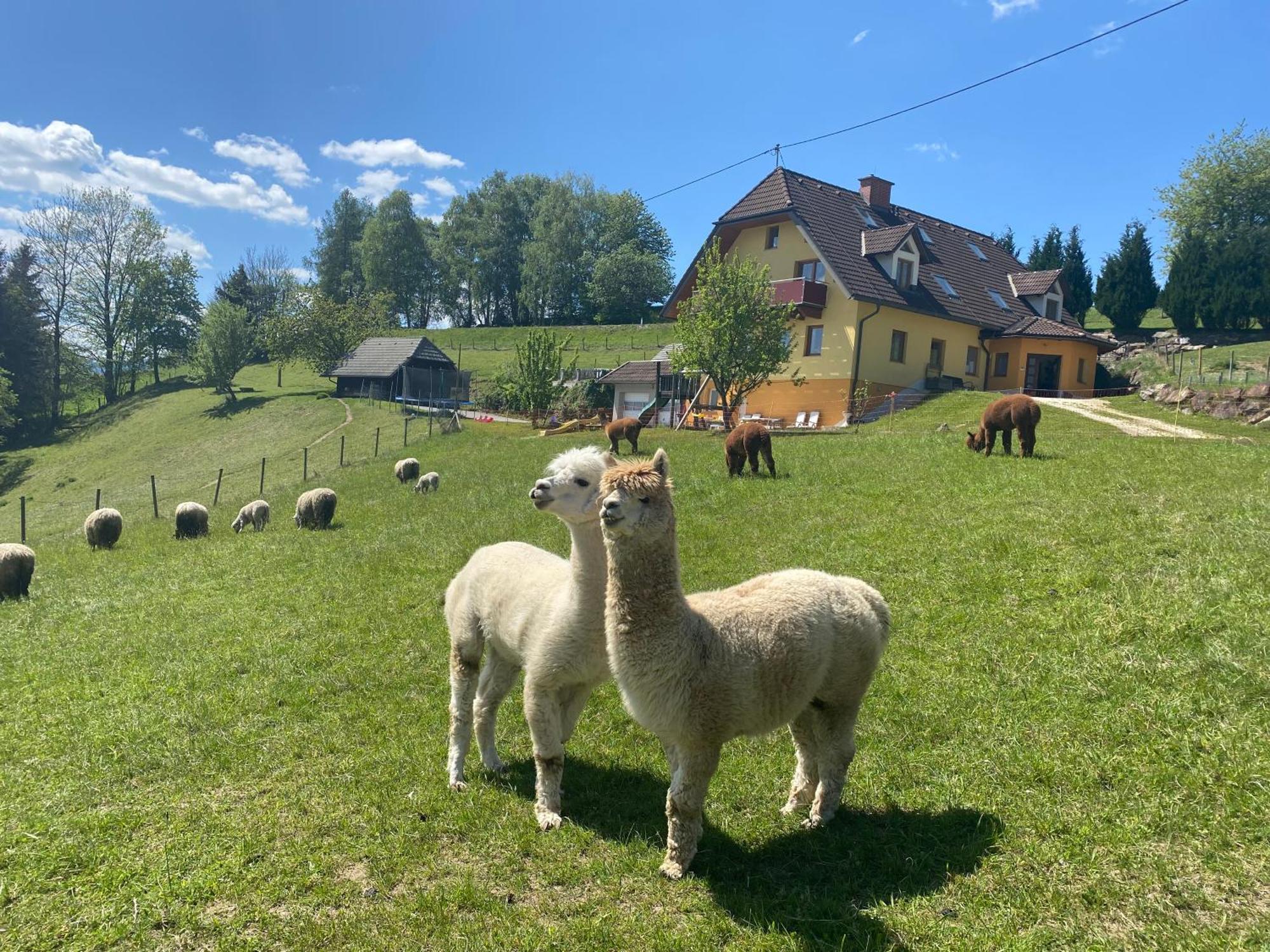 Biohof Kroisleitner Sankt Jakob im Walde Dış mekan fotoğraf